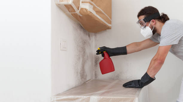 Professional Crawl Space Mold Remediation technician working in Leland, MI