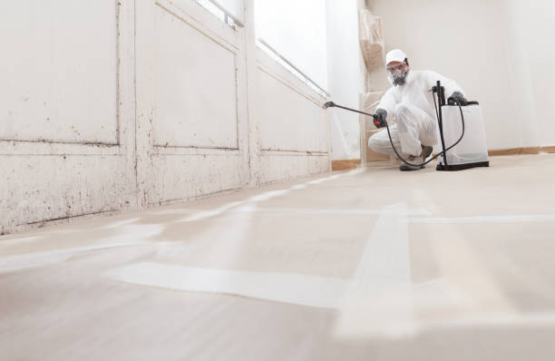 24/7 Emergency Crawl Space Mold Remediation experts in Leland, MI