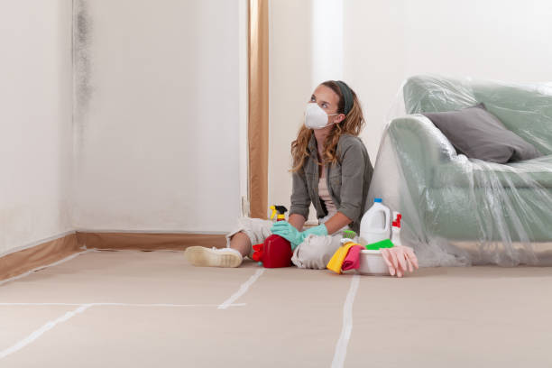 Reliable Crawl Space Mold Remediation contractor in Leland, MI by Car Mold Remediation